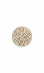 Broche Shine Dourado Cravejado em Strass